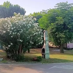 Campeggio L'oasi Di Lulu', Senigallia